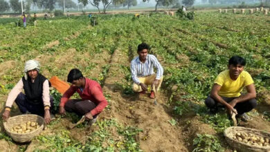 Photo of जन, जल और जमीन के जीवन के लिए प्राकृतिक खेती पर जोर
