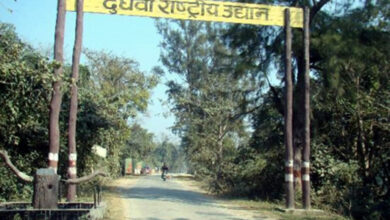 Photo of यूपी में ईको टूरिज्म को बढ़ावा देने के लिए शुरू की जा रही है बफर में सफर योजना