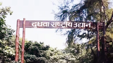 Photo of योगी सरकार नवंबर में आयोजित करेगी प्रदेश का पहला दुधवा महोत्सव