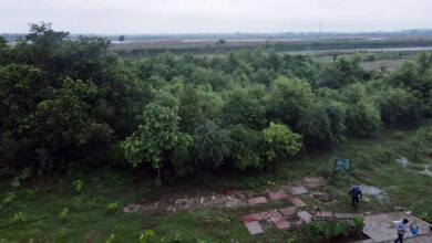Photo of नगरीय निकायों में मियावाकी पद्धति से 24.7 लाख से अधिक वृक्षारोपण, 926082 वर्ग मीटर क्षेत्र हुआ हराभरा