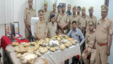 Photo of कछुआ संरक्षण की दिशा में योगी सरकार ने बढ़ाए अभूतपूर्व कदम