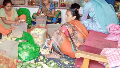 Photo of प्रदेश की घरेलू महिलाएं खाद्य उद्यमी बनकर पेश करेंगी मिसाल