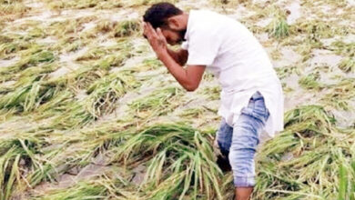 Photo of खराब मौसम से क्षतिगस्त फसलों और जनहानि का 24 घंटे में दिया जाए मुआवजा: सीएम योगी