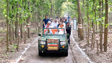 Photo of ईको टूरिज्म के साथ समावेशी विकास को बढ़ावा दे रही ईको डेवलपमेंट कमेटियां