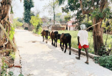 Photo of 22 हजार करोड़ से गांवों का कायाकल्प करेगी योगी सरकार
