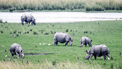 Photo of योगी सरकार गैंडों के संरक्षण के लिए बनायेगी नये राइनो रिहैब्लिटेशन सेंटर