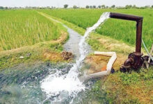 Photo of योगी सरकार के “हर खेत को पानी” संकल्प को साकार कर रहीं नई 29 सिंचाई परियोजनाएं