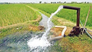 Photo of योगी सरकार के “हर खेत को पानी” संकल्प को साकार कर रहीं नई 29 सिंचाई परियोजनाएं