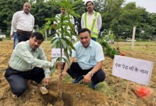 Photo of “एक पेड़ माँ के नाम”: जनसहभागिता से जुलाई में होगा पौधारोपण का वृक्षारोपण का महायज्ञ