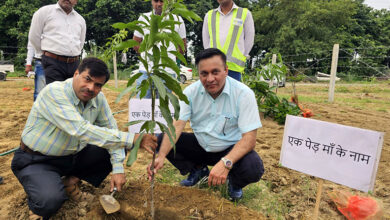 Photo of “एक पेड़ माँ के नाम”: जनसहभागिता से जुलाई में होगा पौधारोपण का वृक्षारोपण का महायज्ञ