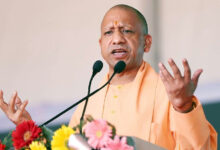 Photo of योगी सरकार के सफल प्रयासों से यूपी वन निगम बना लाभदायक निकाय