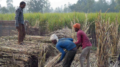 Photo of खेती की लागत कम करने में किसानों की सारथी बन रही डबल इंजन सरकार
