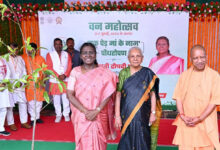 Photo of ‘एक गांव-एक औषधीय पौधा’ की शुरुआत करें किसान : आनंदी बेन पटेल