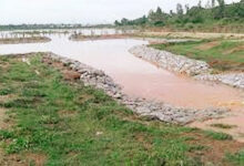 Photo of रोजगार सृजन का साधन बनी पुनर्जीवित हो रही छोटी नदियां
