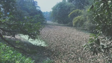 Photo of योगी सरकार की विशेष पहल : तिलोदकी गंगा के पुनरुद्धार से जागेगी आस्था