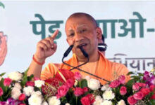 Photo of एक पौधे को अगर हम जीवन देंगे तो भविष्य में वृक्ष बनकर वह भी हमें जीवन देगा: मुख्यमंत्री योगी आदित्यनाथ