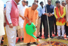 Photo of हमने आठ साल में लगाए 204 करोड़ पौधे, 5 लाख एकड़ में हुआ वनाच्छादन : योगी आदित्यनाथ