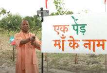 Photo of मुख्यमंत्री योगी आदित्यनाथ का पर्यावरण संरक्षण की दिशा में बड़ा कदम