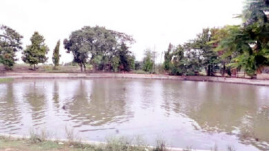 Photo of अमृत सरोवर निर्माण में उत्तर प्रदेश देश में शीर्ष पर, 19989 सरोवरों का किया गया निर्माण और पुनरुद्धार