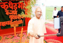 Photo of योगी सरकार के ‘एक पेड़ मां के नाम’ अभियान में जल संसाधन विभाग ने किया 15.19 लाख पौधों का रोपण