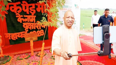 Photo of योगी सरकार के ‘एक पेड़ मां के नाम’ अभियान में जल संसाधन विभाग ने किया 15.19 लाख पौधों का रोपण