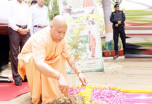 Photo of मुख्यमंत्री योगी रविवार को गोरखपुर में लगाएंगे ‘एक पेड़ मां के नाम’