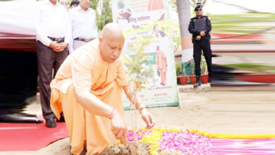 Photo of मुख्यमंत्री योगी रविवार को गोरखपुर में लगाएंगे ‘एक पेड़ मां के नाम’