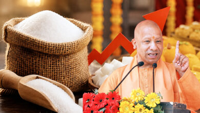 Photo of प्रदेश में पर्याप्त चीनी उपलब्ध, कतई परेशान न हों आमजन: मुख्यमंत्री