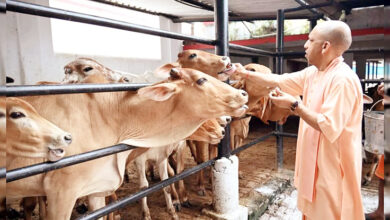 Photo of योगी सरकार की गो संरक्षण नीति से निकला गो सेवा के साथ रोजगार का नया रास्ता