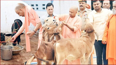 Photo of सीएम योगी की गोसंरक्षण नीति का असर : करोड़ों कमा रहे युवा, बढ़ रहा रोजगार